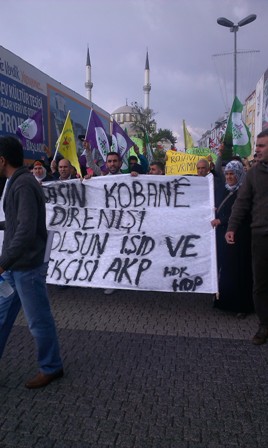 IMAG0478