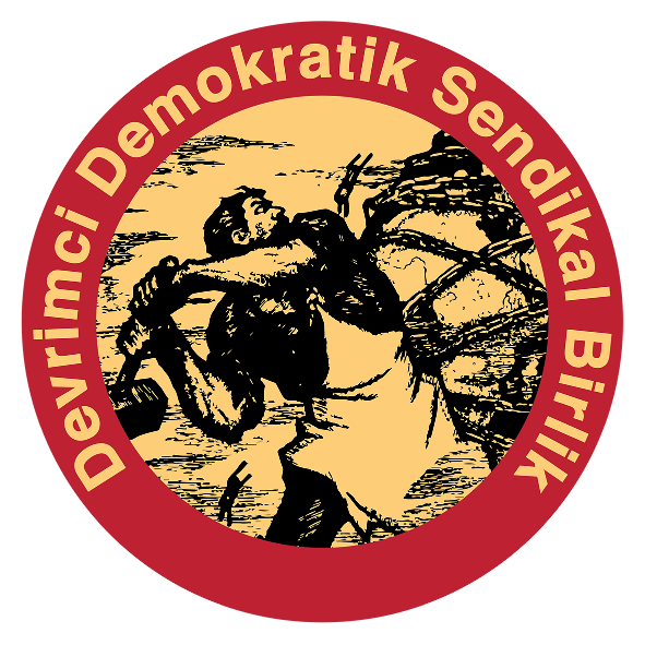 ZrPajafL