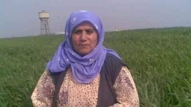 taybet inan