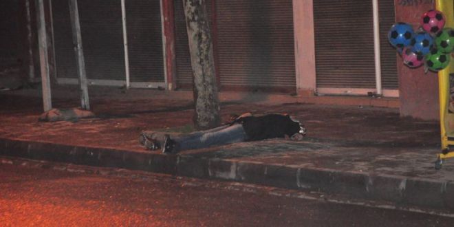 batman kadın
