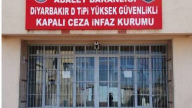 Diyarbakır D tipi