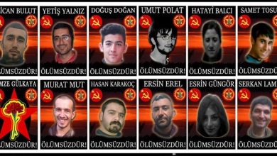 halk savacilari