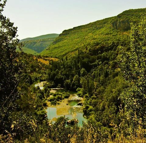 Geliye Goderne