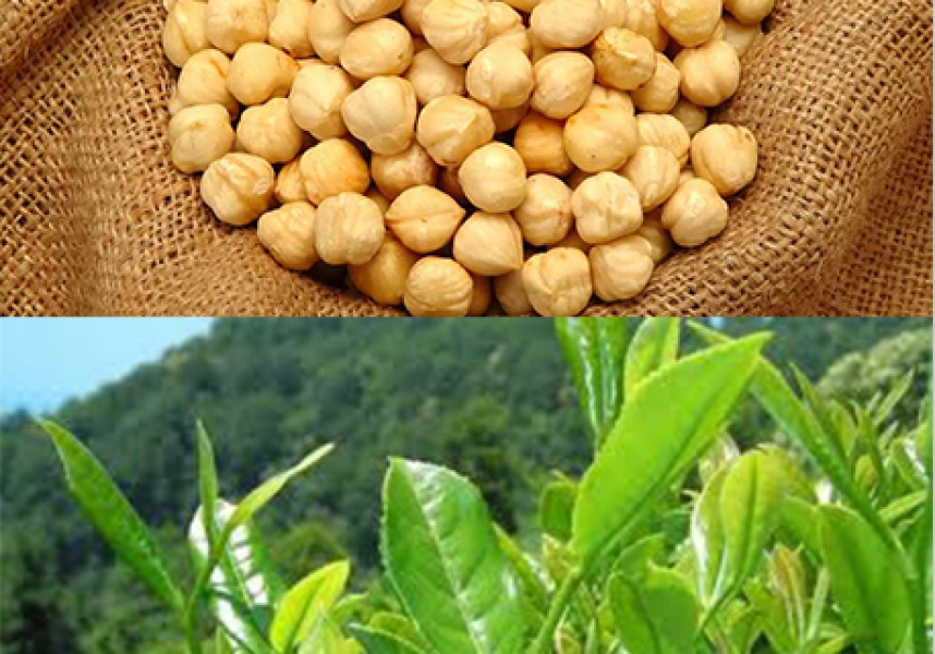 Topla topla bitmeyi Çay da fındık da para etmeyi