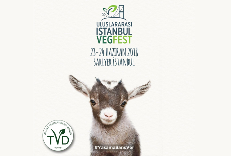 Uluslararası İstanbul VegFest 23 24 Haziranda düzenlenecek